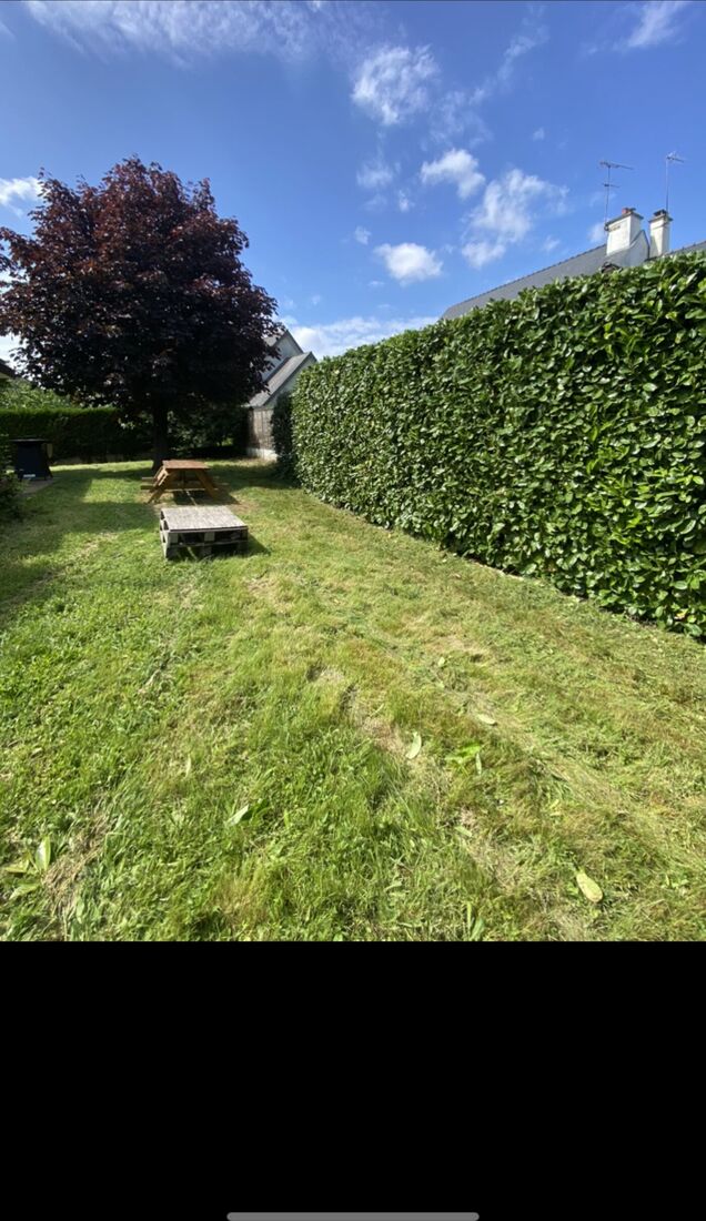 Jardin entretenu avec haie taillée